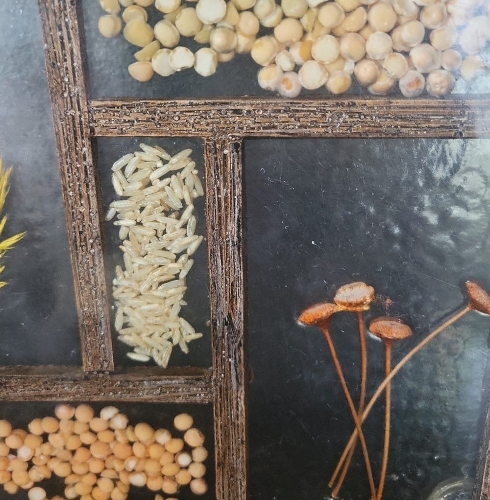 Handmade Vintage Botanical Resin Tray / Wall Art - Picture 4 of 5